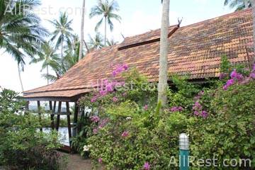 Coconut Village 14